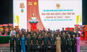 Khuyến khích, nhân rộng mô hình Cựu chiến binh sản xuất giỏi