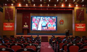 Chuyển hóa hành động trong bảo vệ lợi ích công và người yếu thế