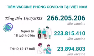 Tình hình tiêm vaccine phòng COVID-19 tại Việt Nam (tính đến hết ngày 16/2/2023)
