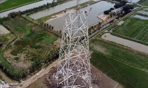 Sớm giao mặt bằng để dựng cột, kéo dây dự án 500 kV mạch 3