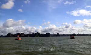 Tìm thấy thi thể gần Hang Trống nghi là nạn nhân vụ lật tàu du lịch ở vịnh Hạ Long