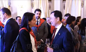 Bạn bè Italy ấn tượng với sức mạnh bền bỉ của tinh thần dân tộc Việt Nam