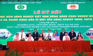 Xây dựng một nền nông nghiệp xanh, sạch, an toàn