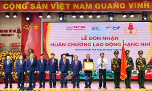 Tạo động lực phát triển nguồn nhân lực vùng Đồng bằng sông Cửu Long
