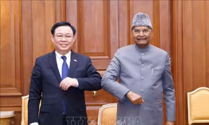 Chủ tịch Quốc hội Vương Đình Huệ hội kiến Tổng thống Ấn Độ Ram Nath Kovind