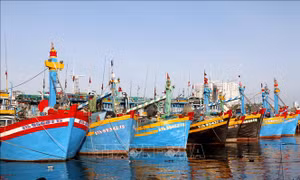 Lâm Đồng thành lập Tổ công tác liên ngành chống khai thác IUU