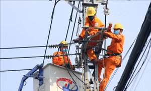 Ứng phó bão Noru: Ngành điện gấp rút chuẩn bị '4 tại chỗ'