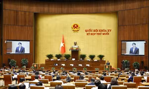 Đơn giản hóa thủ tục, nâng cao hiệu quả ký kết và thực hiện điều ước quốc tế