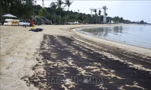 Singapore nỗ lực xử lý sự cố tràn dầu trên biển