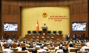 Đề xuất tháo gỡ vướng mắc đất nông, lâm trường, thúc đẩy tích tụ đất nông nghiệp