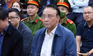 Chủ tịch Tập đoàn Tân Hoàng Minh nhận trách nhiệm, xin giảm án cho cấp dưới