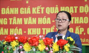 Vĩnh Long nâng cao chất lượng hoạt động các thiết chế văn hóa - thể thao cơ sở