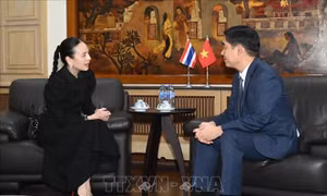 Chủ tịch Liên đoàn bóng đá Thái Lan xin lỗi về sự cố hiển thị sai Quốc kỳ Việt Nam