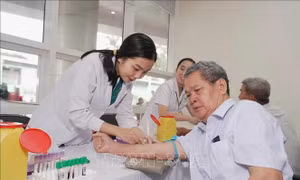 Khám bệnh, tri ân người có công và gia đình chính sách tại Thành phố Hồ Chí Minh