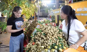Đa dạng hình thức quảng bá nhãn lồng Hưng Yên