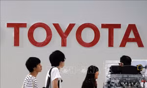 Toyota xác nhận chấm dứt tài trợ cho Olympic và Paralympic