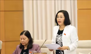 Hoàn thiện dự thảo Nghị quyết về vị trí việc làm của đại biểu Quốc hội chuyên trách ở Trung ương