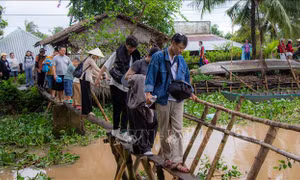 Cồn Sơn - nơi bản sắc địa phương chạm tới trái tim du khách
