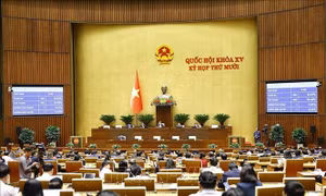 Quốc hội thông qua Luật sửa đổi, bổ sung một số điều của Luật Phòng, chống tham nhũng
