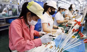 Truyền thông Malaysia đánh giá cao sức hút của Việt Nam đối với FDI 
