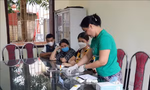 Xử phạt Nhóm Tự lực Bông Hồng Đen tự ý lấy máu của học sinh để xét nghiệm