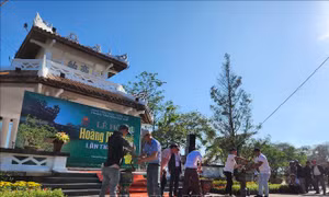 Rực rỡ hoàng mai Huế