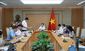 Thực hiện nhất quán, liên tục chính sách hỗ trợ bảo vệ môi trường