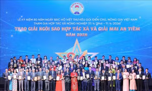 100 hợp tác xã tiêu biểu được trao giải Ngôi sao hợp tác xã và giải Mai An Tiêm năm 2026