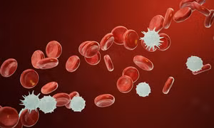 Israel điều trị ung thư máu bằng liệu pháp tế bào biến đổi gene