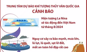 Cảnh báo nguy cơ xảy ra bão mạnh, mưa lớn, sạt lở đất