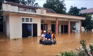 Quảng Trị: Khuyến khích người dân dự trữ lương thực ứng phó mưa lũ kéo dài