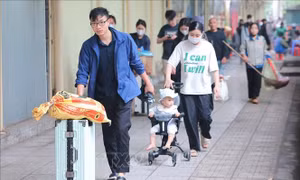 Đề xuất phương án nghỉ Ngày Văn hóa Việt Nam năm 2026, Tết Âm lịch và Quốc khánh năm 2027