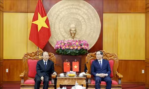 Thúc đẩy hợp tác thương mại biên giới Việt Nam - Trung Quốc