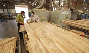 Bộ Công Thương siết chặt quản lý xuất khẩu gỗ dán sang Hoa Kỳ