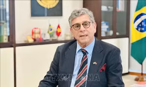 Đại sứ Marco Farani: Việt Nam sẽ có những đóng góp quan trọng tại Hội nghị Thượng đỉnh G20
