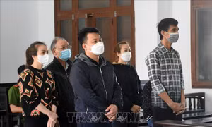 Phạt tù đối tượng lừa 'chạy án'