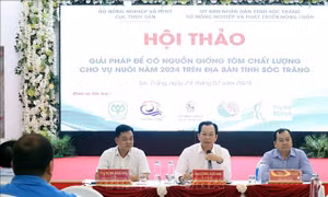 Bàn giải pháp nâng cao chất lượng nguồn tôm giống
