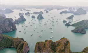 Quảng Ninh đẩy mạnh thu hút du lịch tàu biển