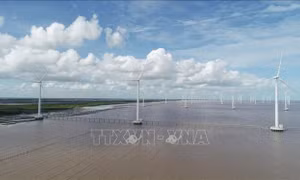 Phát triển thị trường carbon - Bài 1: Không thể chậm chân