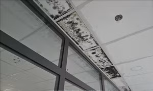 Khắc phục tình trạng thấm, dột tại dự án nâng cấp Bệnh viện Đa khoa Đắk Nông 