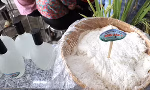 Đưa kết quả chọn tạo hai giống lúa mới từ nghiên cứu ra đồng ruộng