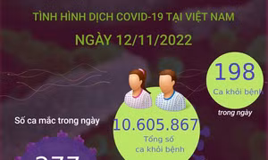 Ngày 12/11: Có 277 ca COVID-19 mới, 198 F0 khỏi bệnh