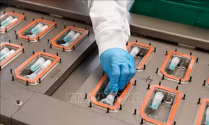 FDA cấp phép sử dụng bộ kít xét nghiệm COVID-19, cảm cúm tại nhà