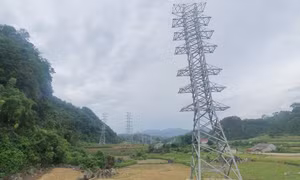 Đốc thúc tiến độ dự án đường dây 220kV Bắc Giang - Lạng Sơn