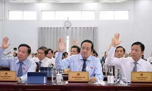 Long An: Phê duyệt chủ trương đầu tư Dự án tạo quỹ đất sạch