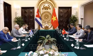 Tham khảo chính trị lần thứ VII giữa hai Bộ Ngoại giao Việt Nam và Cuba