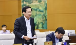 Phiên họp thứ 52, Ủy ban Thường vụ Quốc hội: Đổi mới cách tiếp cận trong phân loại đô thị