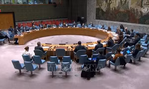 HĐBA thông qua nghị quyết gia hạn nhiệm vụ của UNDOF và AMISOM