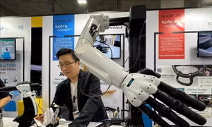 Các xu hướng kinh doanh nổi bật năm 2025