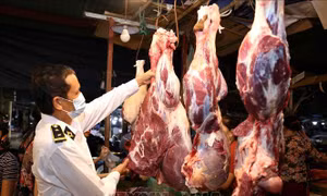 EU sửa đổi quy định liên quan đến chứng nhận vệ sinh thú y 